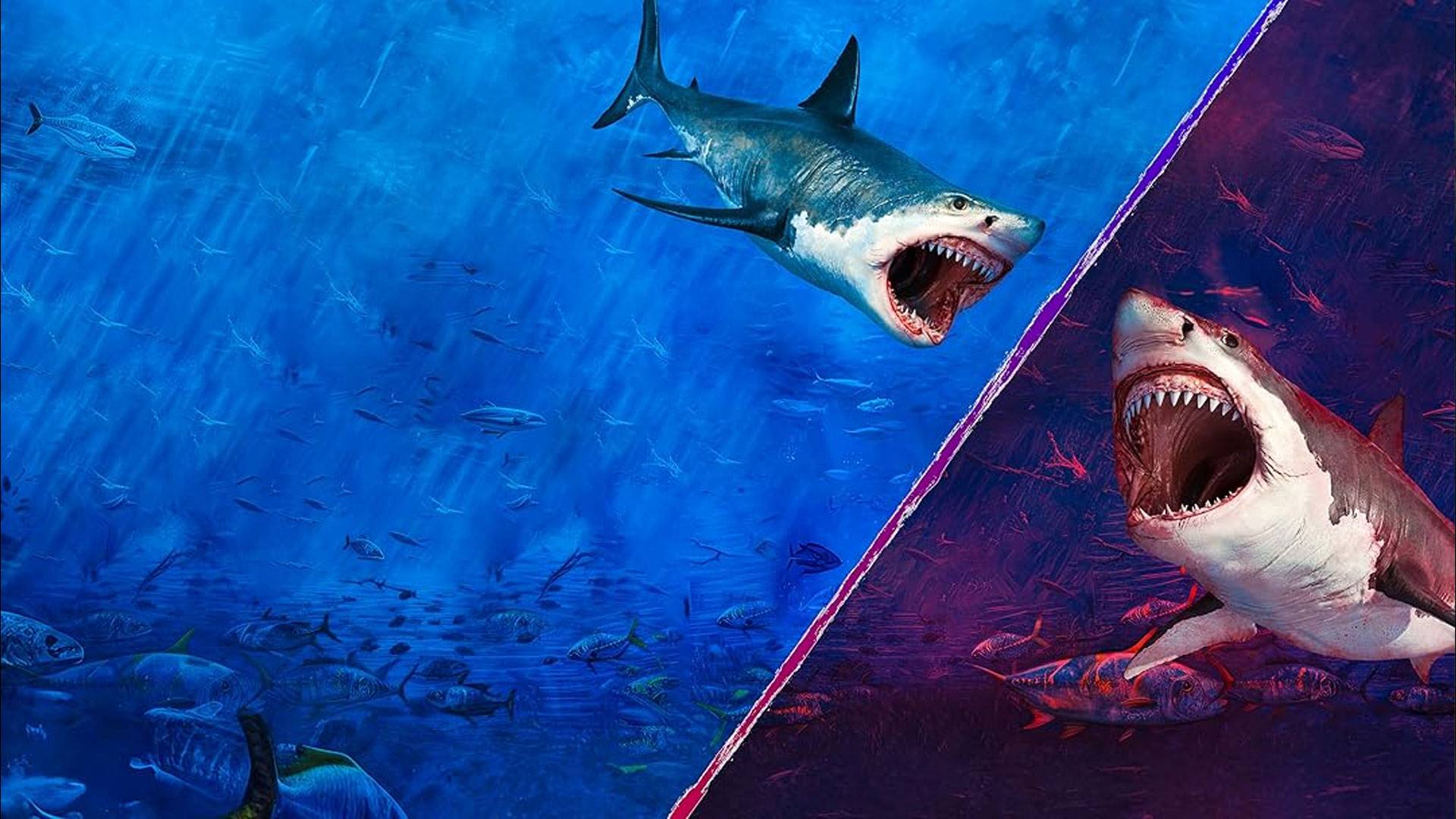 Jaws Megalodon'a Karşı