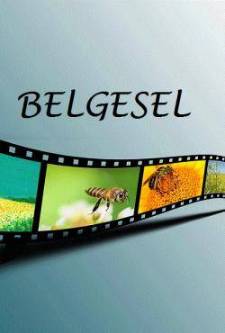 Belgesel